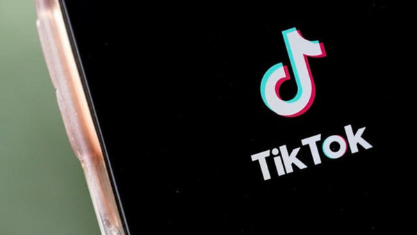 Navigating the TikTok Ban: Tips for Cat Influencers