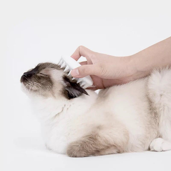 Cat Grooming Comb Brush